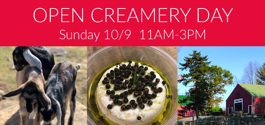Open Creamery Day 2022